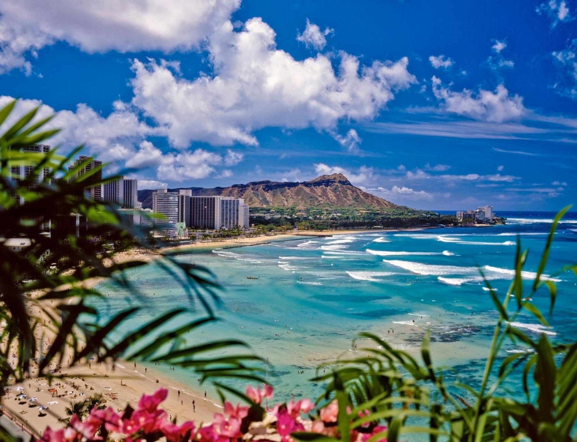 Great Ocean View Condo, Near Beach With Free Parking! Honolulu Zewnętrze zdjęcie