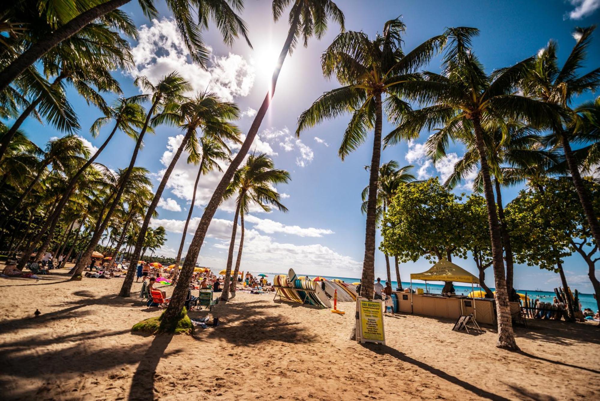 Great Ocean View Condo, Near Beach With Free Parking! Honolulu Zewnętrze zdjęcie